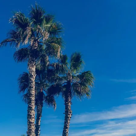 Premium Con Jacuzzi Y Vistas Al Mar En Punta Prima, By Rentalole アパート トレビエハ