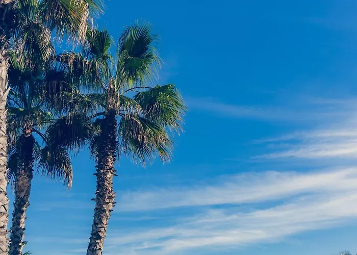 Premium Con Jacuzzi Y Vistas Al Mar En Punta Prima, By Rentalole 托雷维耶哈